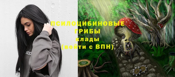 винт Беломорск
