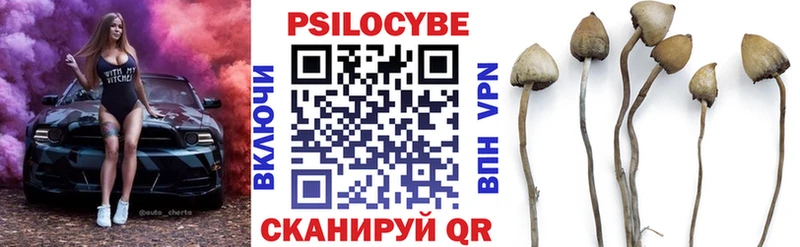 Галлюциногенные грибы Psilocybine cubensis  Мензелинск 